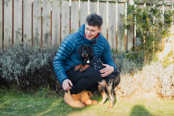 istockphoto 1304874575 612x612